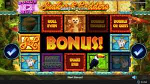 snakesAndLaddersGameChanger smaller1 Realistic Games: Snakes and Ladders Game Changer